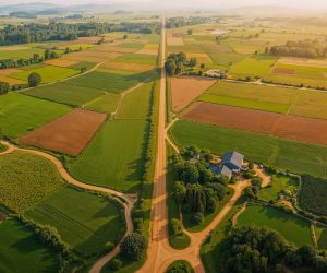 Kayapınar Arsa Yatırımı ile Değerinizi Güvence Altına Alın | Looper Gayrimenkul Uzmanlığı