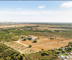 Diyarbakır Arsa Yatırımı ile Güvenli, Planlı ve Yüksek Prim Potansiyelli Fırsatlar